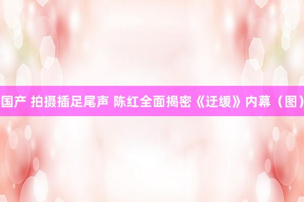 国产 拍摄插足尾声 陈红全面揭密《迂缓》内幕（图）