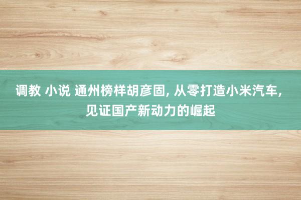 调教 小说 通州榜样胡彦固， 从零打造小米汽车， 见证国产新动力的崛起